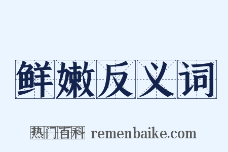 鲜嫩反义词是什么意思的图片